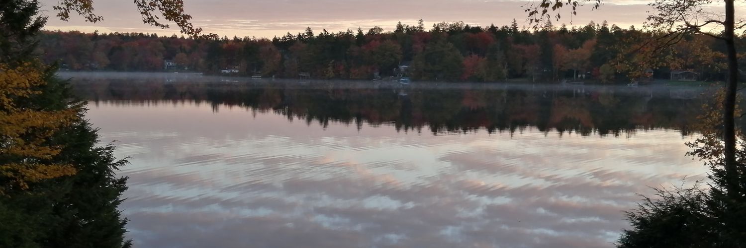 rarenoodle73's profile banner image