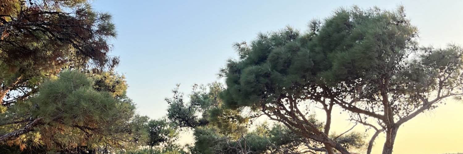 EnginnKoc's profile banner image