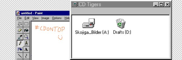 ICE_Tigers_ Profile Banner