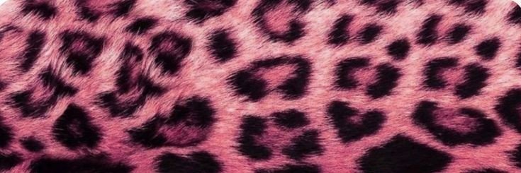 _DollComplex_'s profile banner image