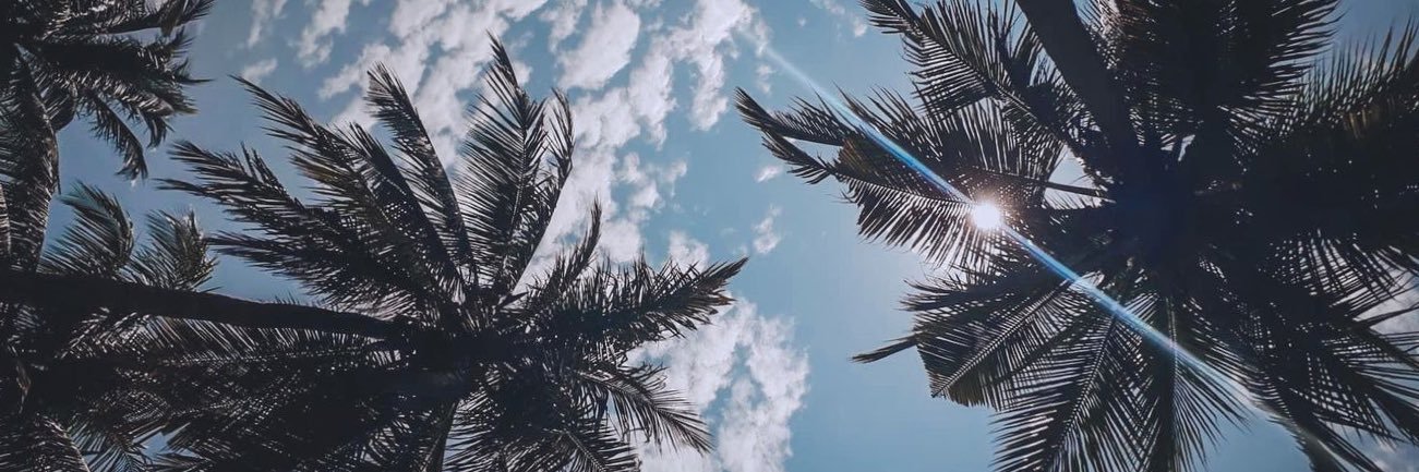 chris_yaks's profile banner image