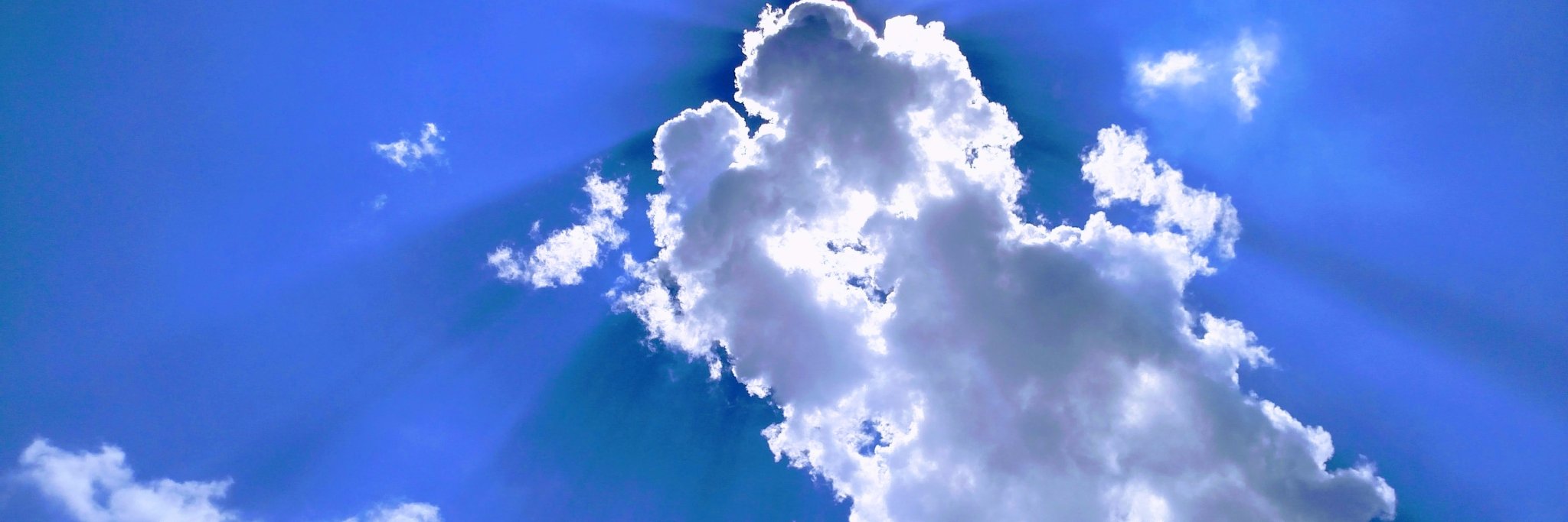 🕷tteelo 🌻🇺🇦 banner