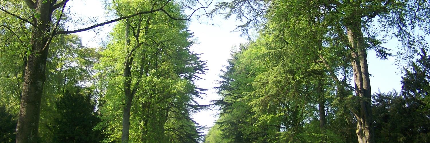 TeresaFerRod's profile banner image