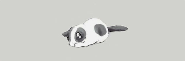 foxfraudao's profile banner image