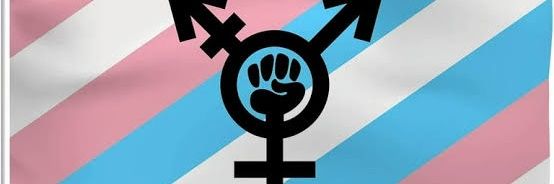 هيوفه شيميله banner