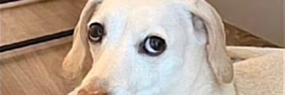 bouunc's profile banner image