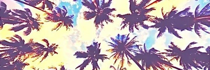 gimereta's profile banner image