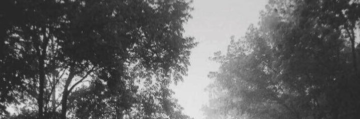 gs7957's profile banner image