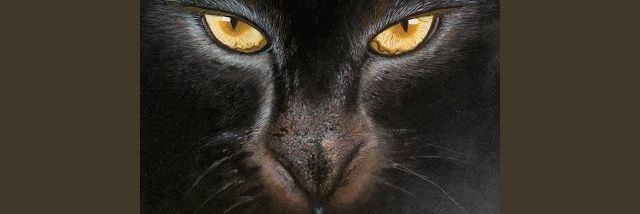 OlanNoah's profile banner image