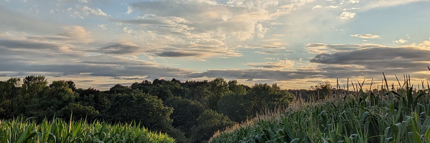 Dalmond980's profile banner image