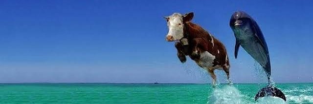 Boyd | We're so fucking back banner