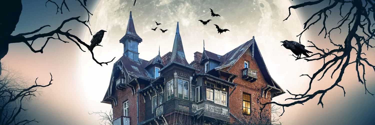 Spooky_house0's profile banner image