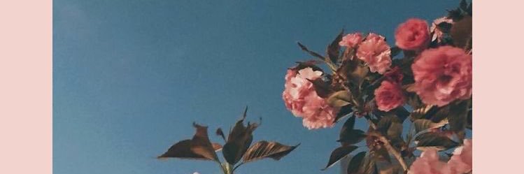sezer değil banner