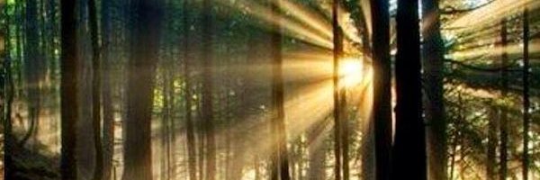 AlbertDevine's profile banner image