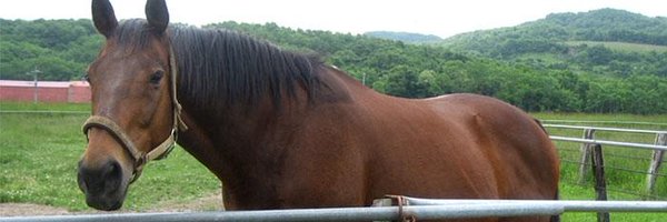 quuix3 Profile Banner