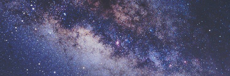 joleneyu's profile banner image