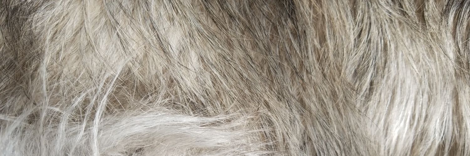 margaretmcb's profile banner image
