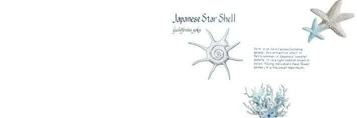 ۟Can𝐝y ׄ✮🦋 𝅼۟𓈒 banner