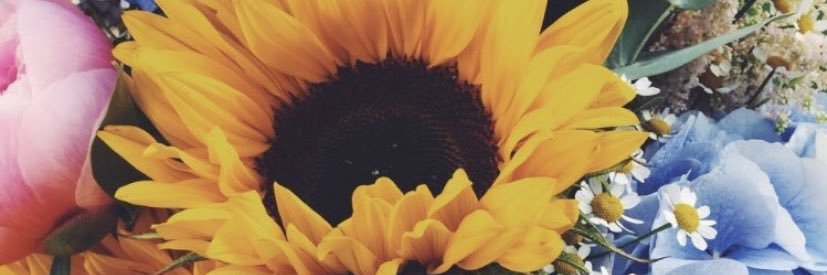 LabriaJay's profile banner image