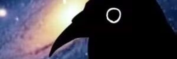 dun_D_ Profile Banner