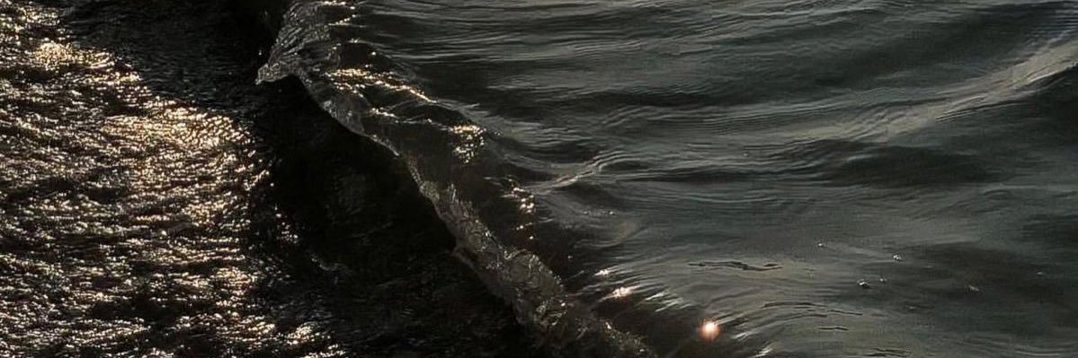 nonyn47's profile banner image