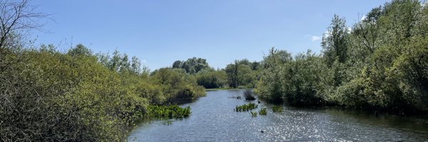 btldowling Profile Banner