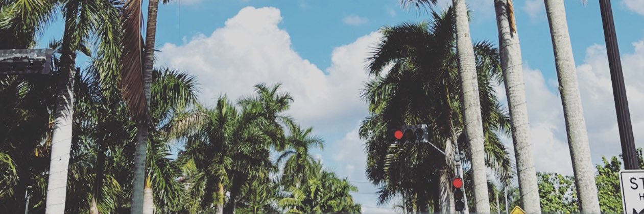 otto_alec's profile banner image