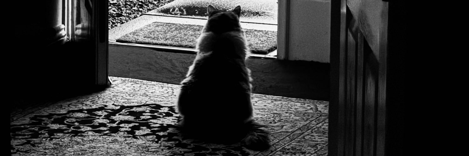 LindaCHoward's profile banner image
