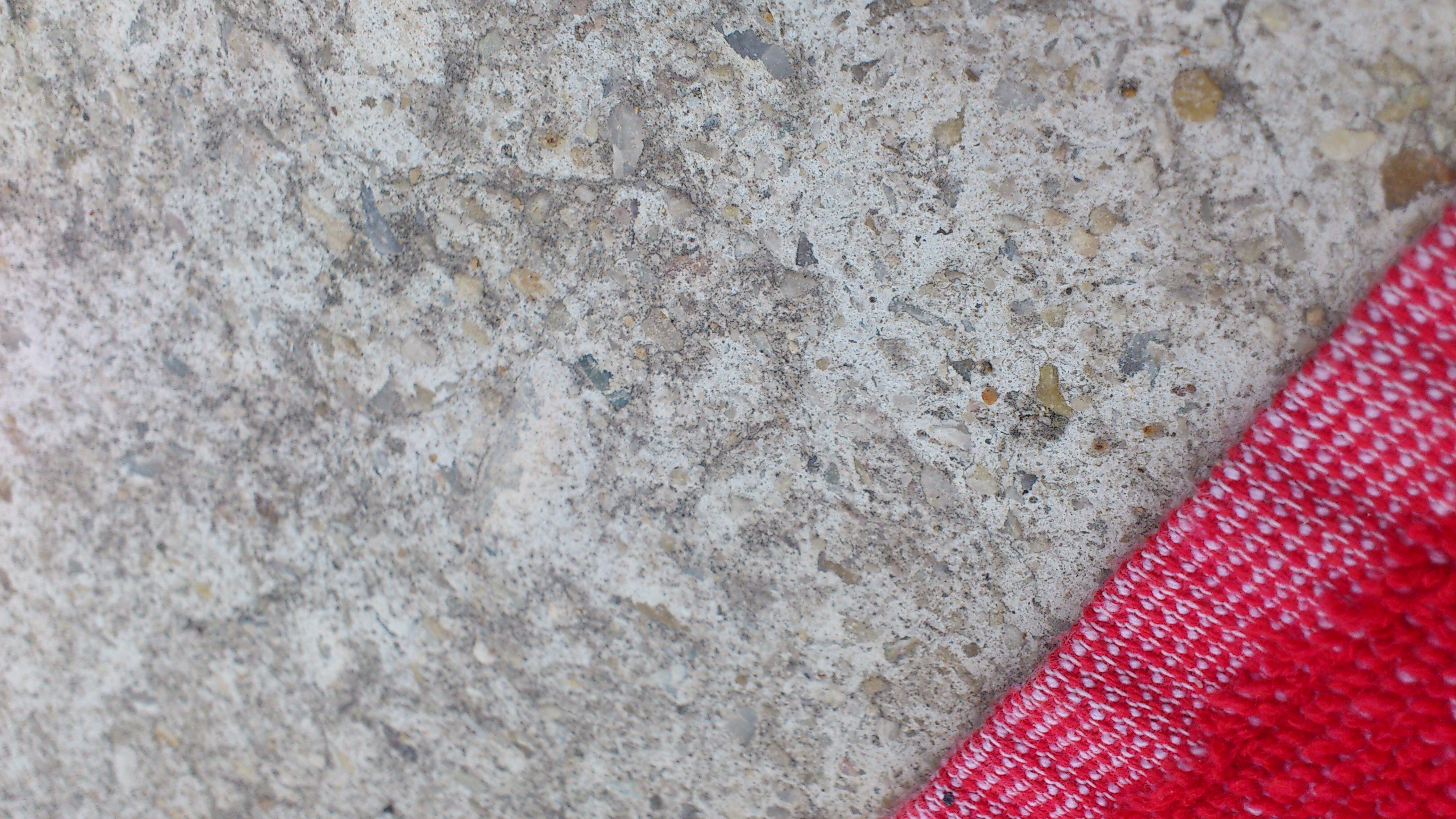 Román Pintado banner