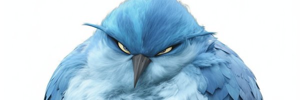 BlueBirdBack Profile Banner
