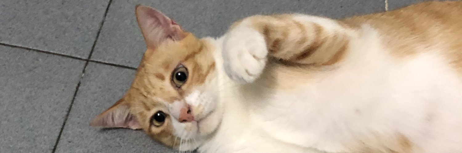 ssurayaa's profile banner image