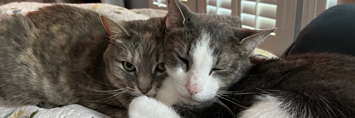 Ed Zaborowski banner