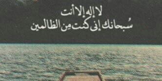 3beedabee's profile banner image