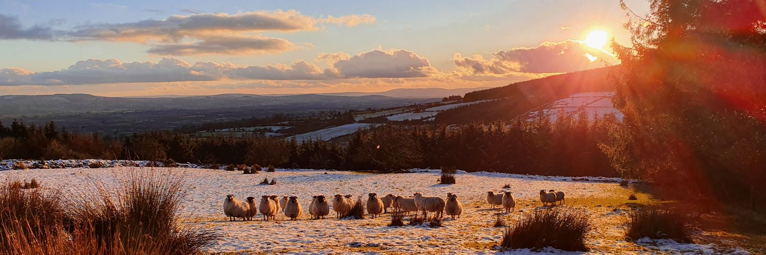 Shinners10's profile banner image