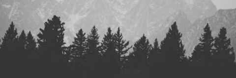 lowkey1___'s profile banner image