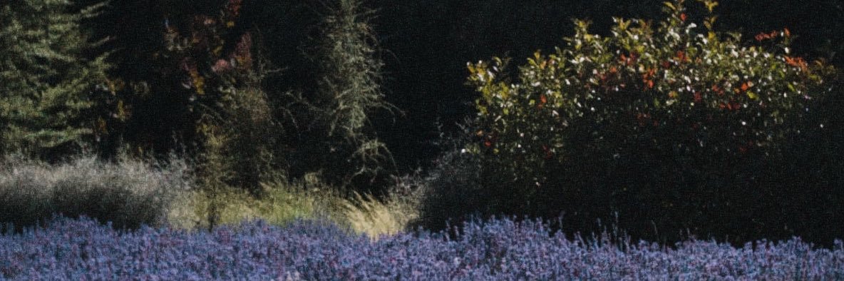 たると_取り引き banner