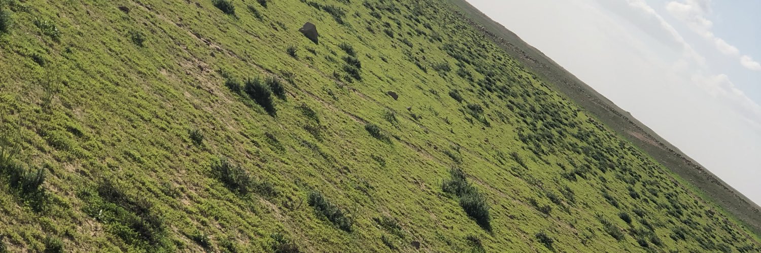 bnswai6's profile banner image