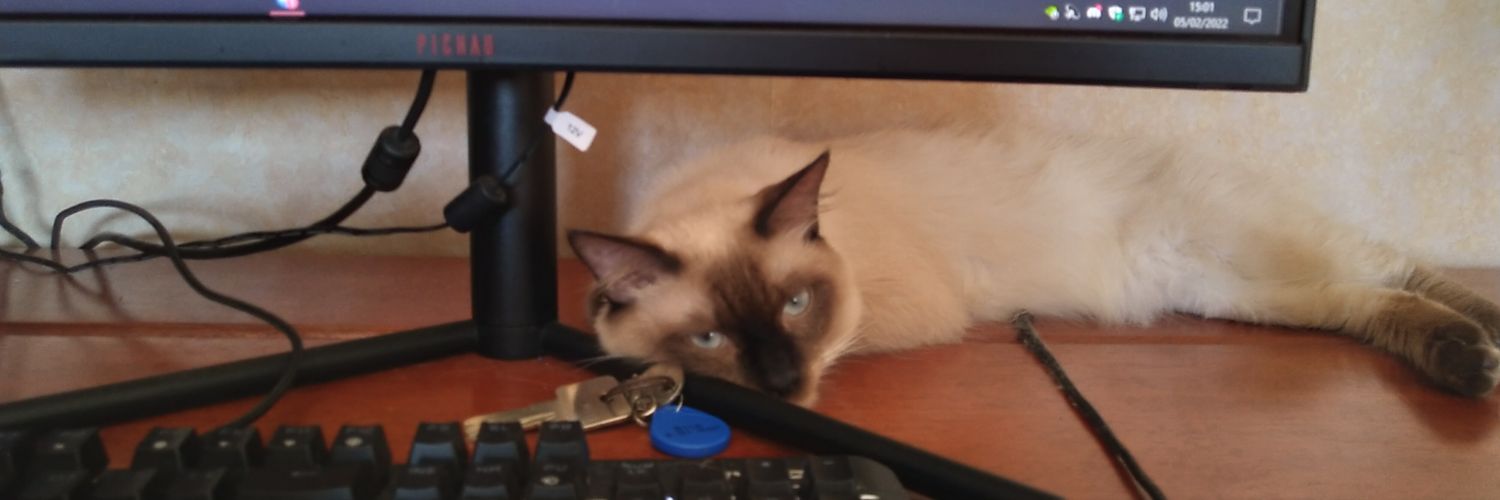 matheusmp___'s profile banner image