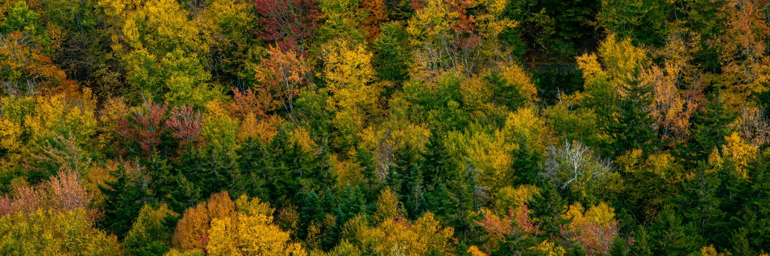 JS360's profile banner image