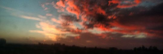 Rosaluz_D's profile banner image