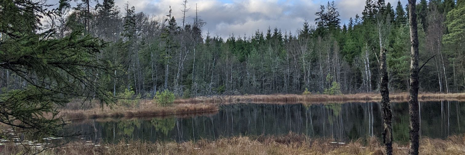Simon Fredriksson banner