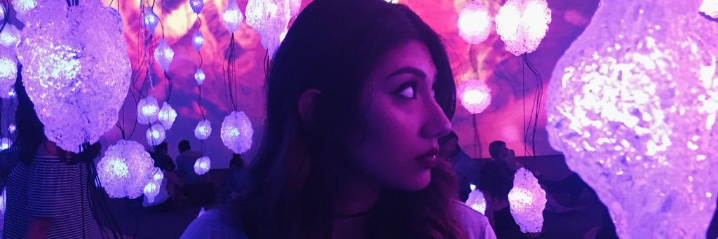 HaadyaKhan's profile banner image