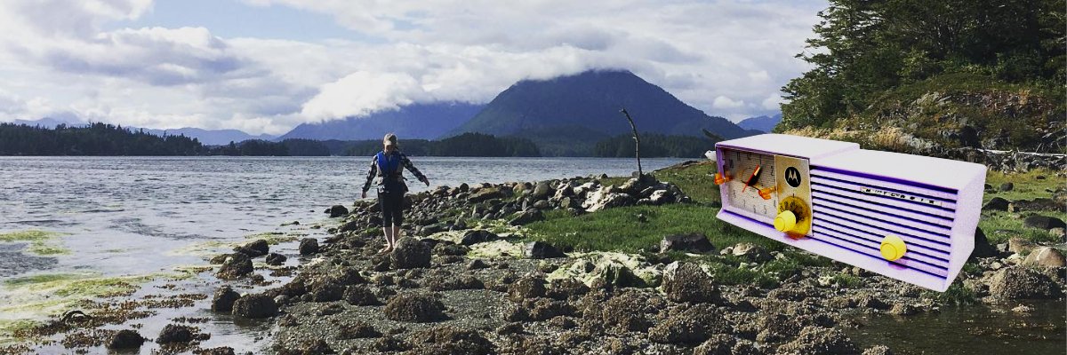 Stacey Copeland, Ph.D. banner