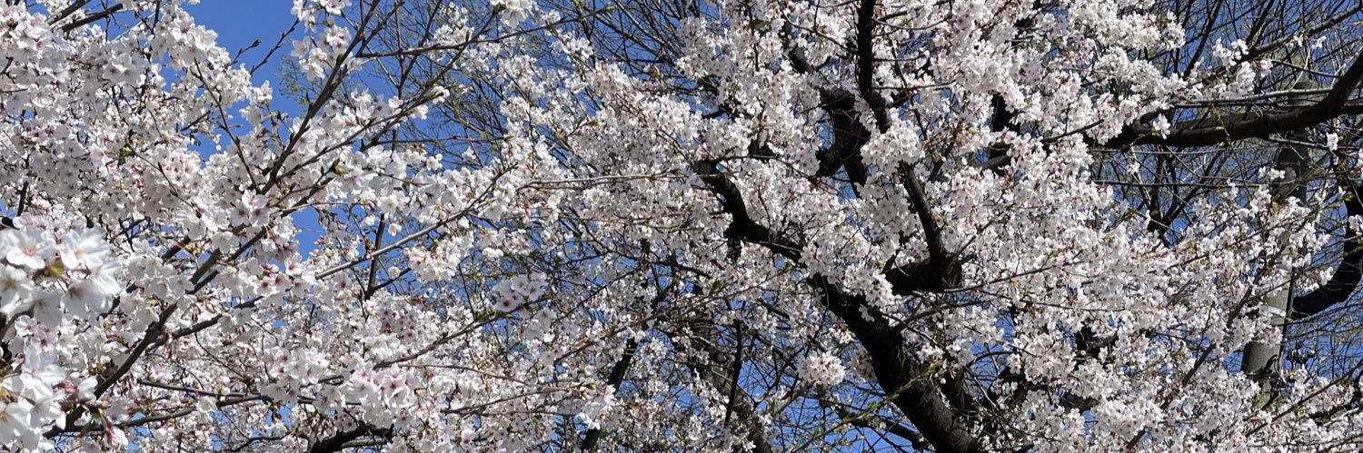 spring_goods's profile banner image