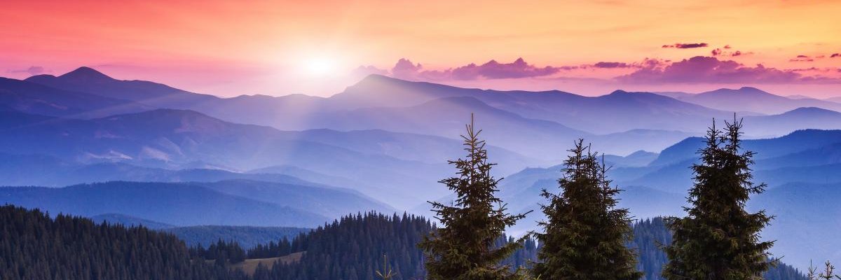 pmendar's profile banner image