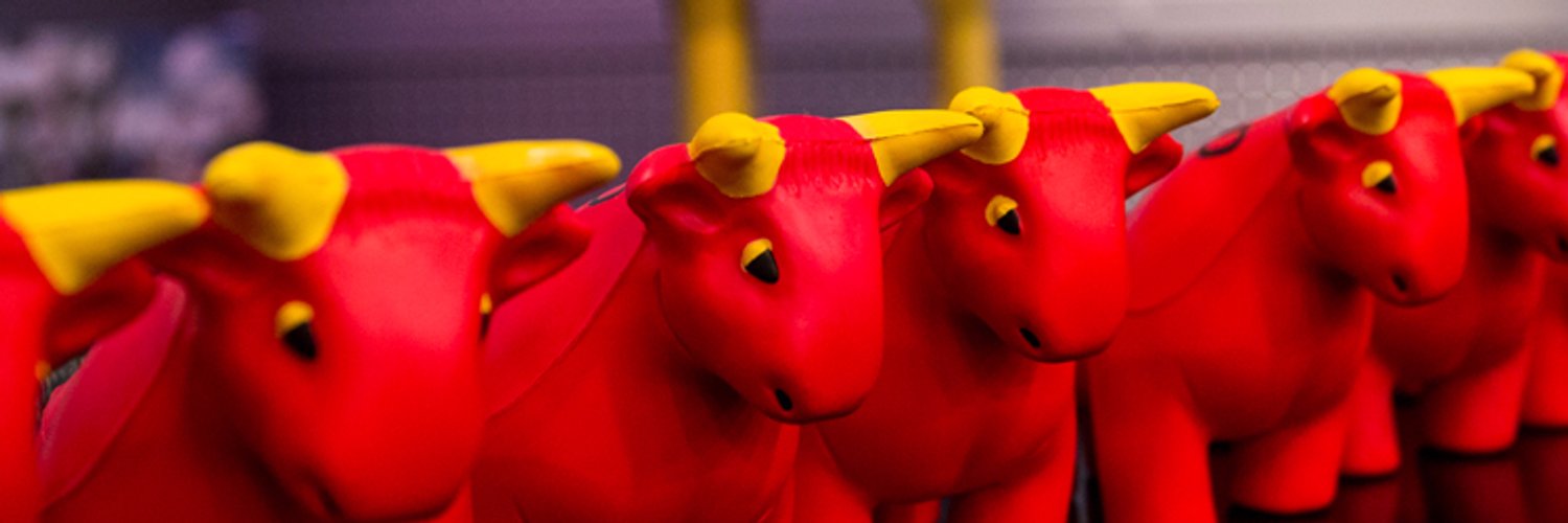 sachinseys's profile banner image