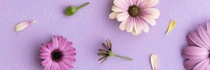 Barrosolari's profile banner image