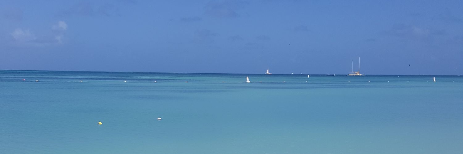 LisaRuvolo's profile banner image