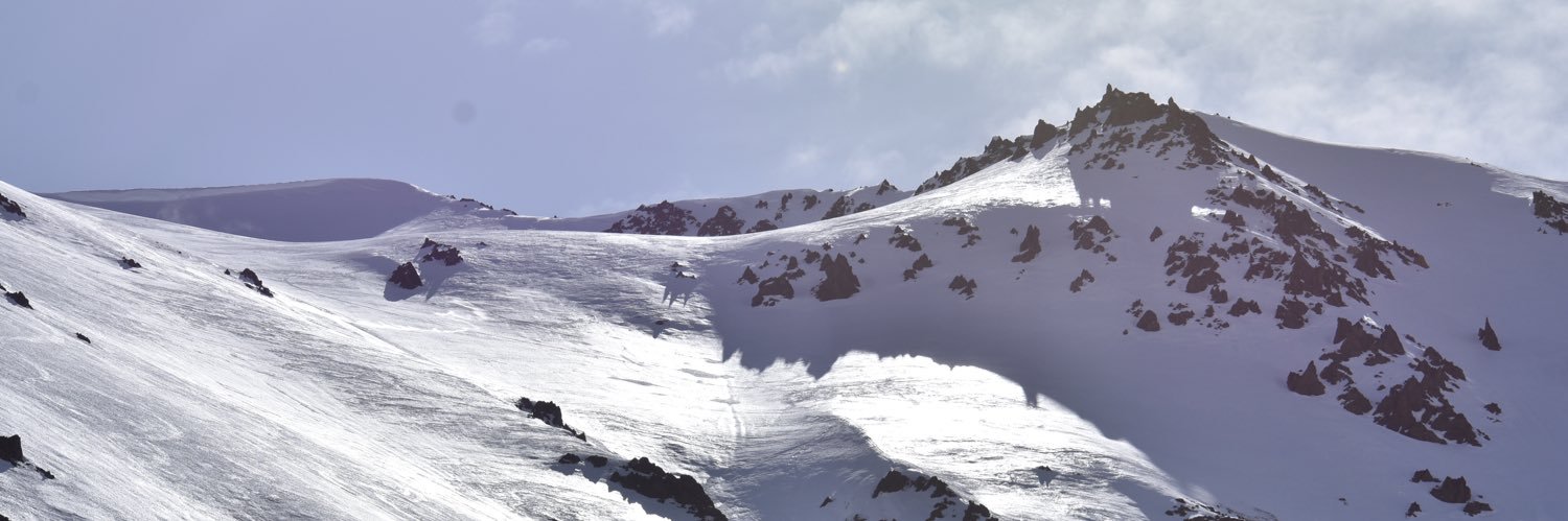 GeriNichols's profile banner image