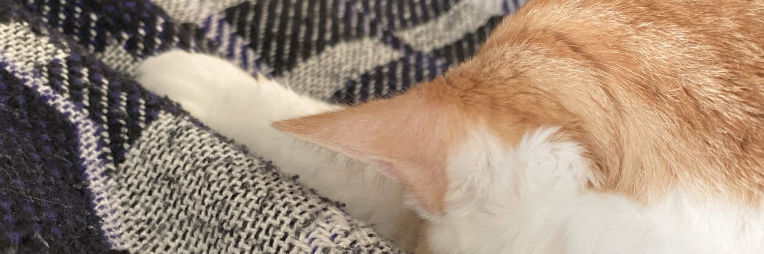 DelaneyBare's profile banner image